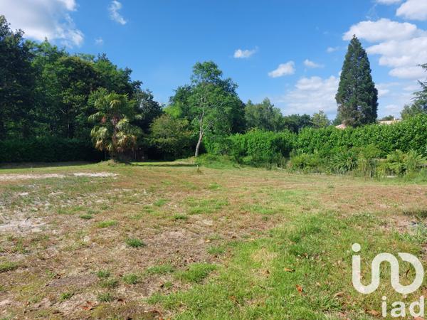 Terrain à vendre 4 035 m² Saugnac-et-Cambran