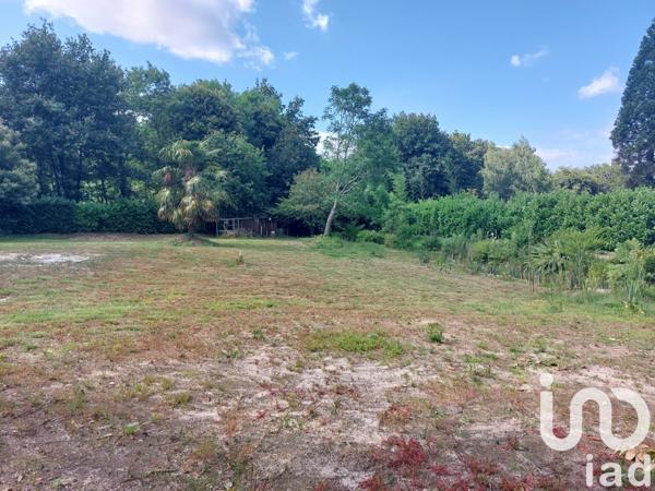 Terrain à vendre 4 035 m² Saugnac-et-Cambran