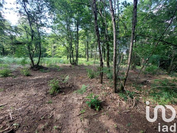 Terrain à vendre 4 035 m² Saugnac-et-Cambran