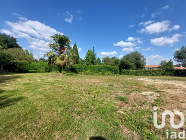 Terrain à vendre 4 035 m² Saugnac-et-Cambran