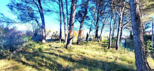 Terrain constructible proche village
