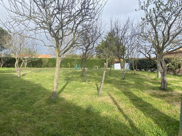 Terrain - 728 m²