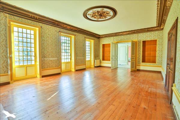 Maison à vendre |  Angeac-Champagne |  15 pièces | 440 m²