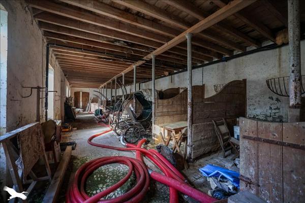 Maison à vendre |  Angeac-Champagne |  15 pièces | 440 m²