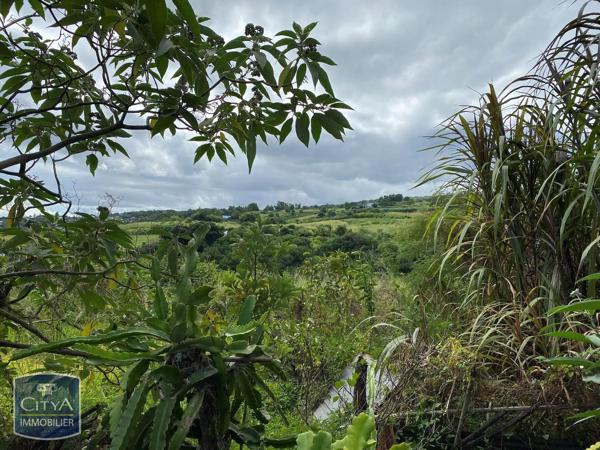 Terrain à vendre 1365m² Saint-Paul (97422)