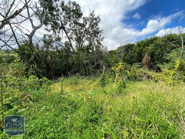 Terrain à vendre 1365m² Saint-Paul (97422)