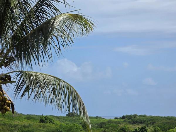 Charmante Maison + F2 et Studio piscine petite vue mer éloignée SAINTE ANNE (971)