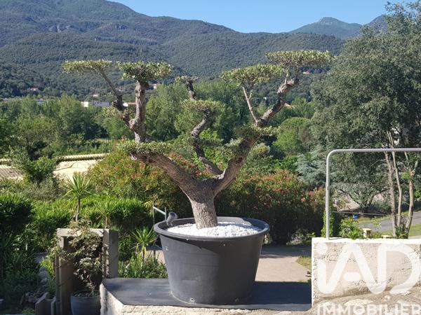 Maison à vendre 12 pièces 288 m² Amélie-les-Bains-Palalda