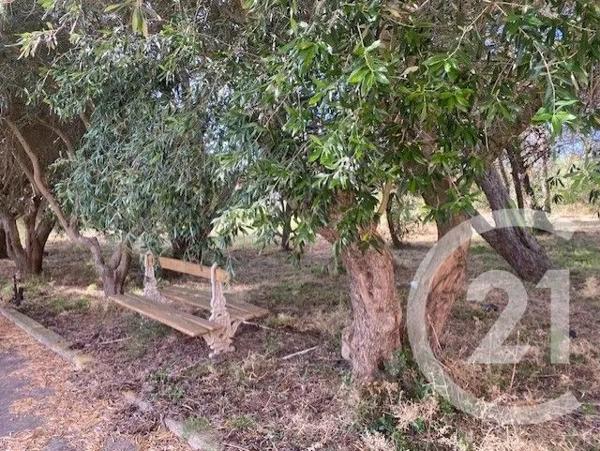 Maison à vendre  5 pièces - 137,24 m 2   NARBONNE  - 11