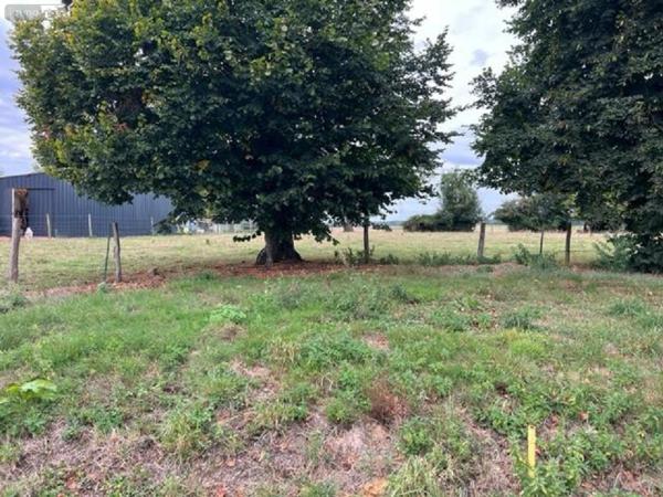 Terrain à Batir à vendre à Fressin dans le Pas-de-Calais (62140), ref : 083/1758