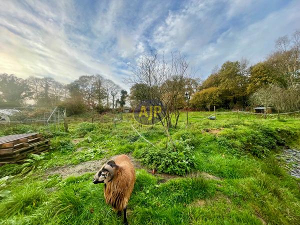 Vente maison Locmalo : 190 000 € - AJP Immobilier Pontivy