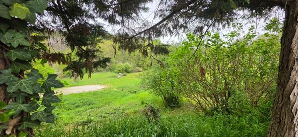 Domaine de charme au coeur du Périgord , Propriété d'exception avec activité touristique