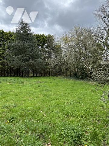 MAISON - LA FORET-FOUESNANT