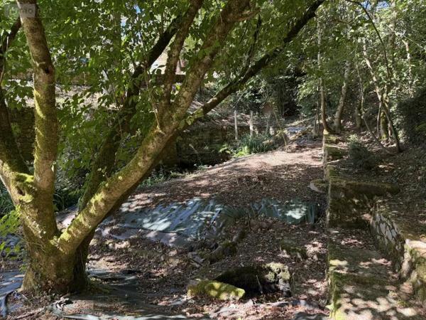 Achat - Maison Ploumagoar 22970 8 pièces 288 m 2 13943 m 2