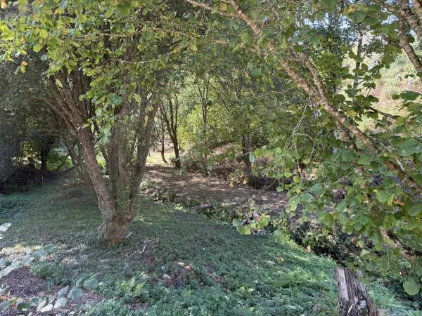 Achat - Maison Ploumagoar 22970 8 pièces 288 m 2 13943 m 2