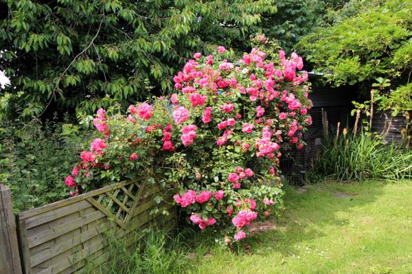 Saint-Thual (35190) HAVRE DE PAIX - POSEZ VOS VALISES