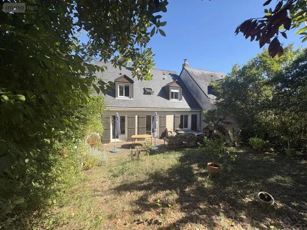 Achat - Maison Angers 49000 6 pièces 129 m 2 376 m 2