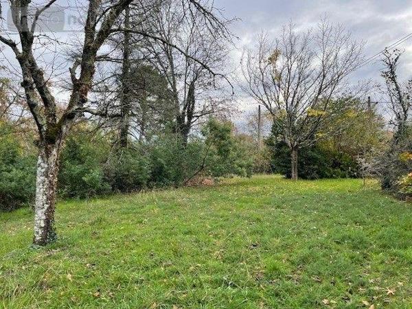 Maison à vendre à Pessac en Gironde (33600), ref : 011-478