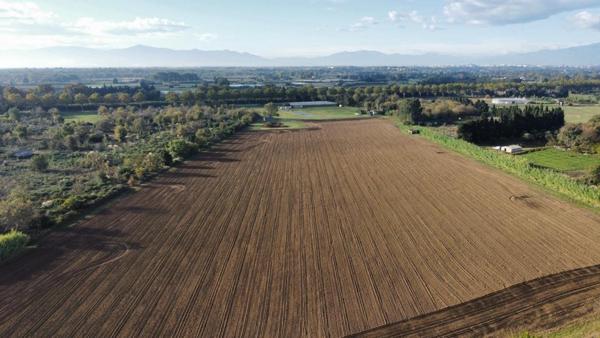 Fond de commerce avec 10 hectares de terrain ,