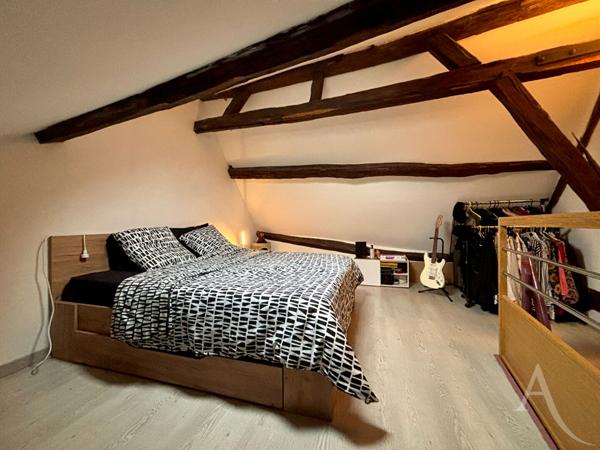 Duplex 3 pièces lumineux avec charme - hyper centre !