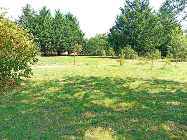 MAISON LOIREAUXENCE 9 PIECES