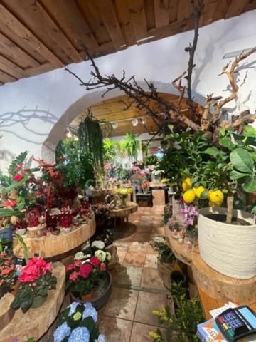 Fonds de commerce à vendre ()