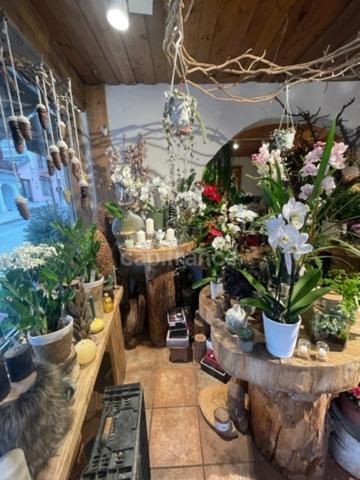 Fonds de commerce à vendre ()