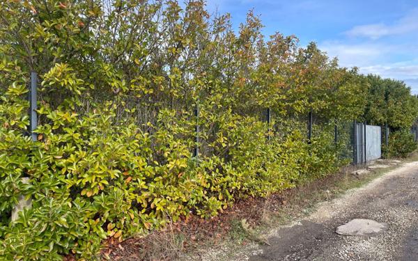 Terrain à vendre    Bezouce