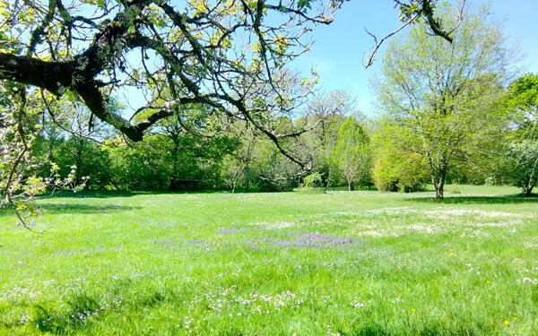 Maison à vendre    5 pièces •  Caussade