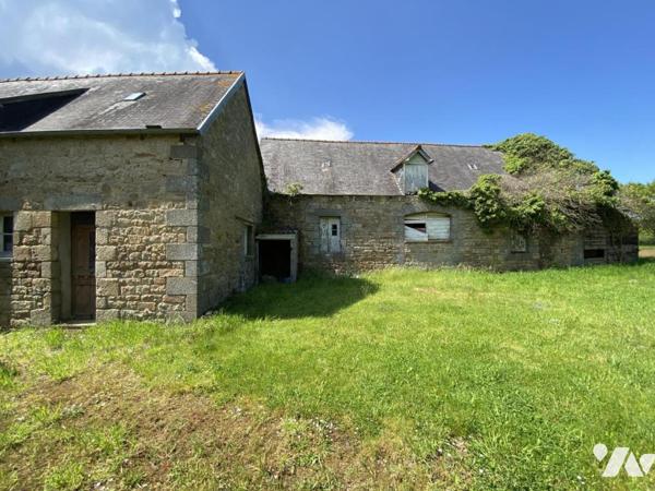 Ensemble de deux maisons avec 6 hectares