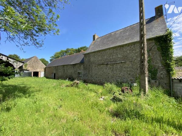 Ensemble de deux maisons avec 6 hectares