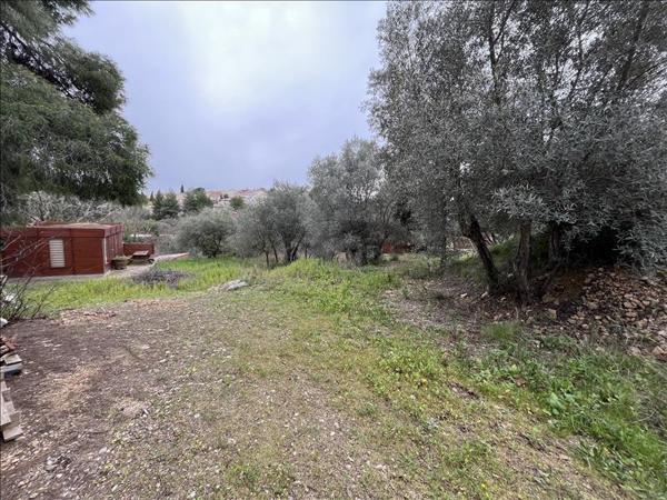 Terrain à vendre |  Pignan |  1352 m²