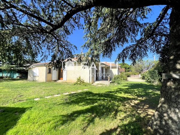 Maison familiale de plain pieds