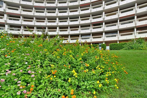 A 100m de la plage, F2 à La Grande-Motte avec terrasse Sud, garage privatif et grand jardin collectif