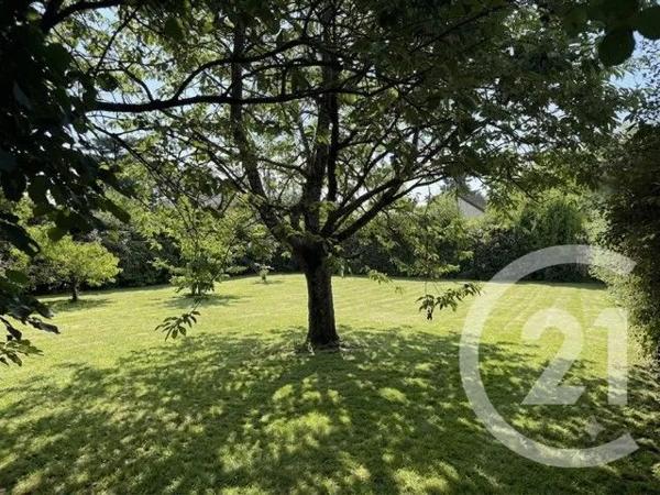 Terrain à vendre  800 m 2   MUIDES SUR LOIRE  - 41