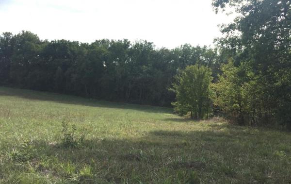 Vente Terrain Constructible Ordan-larroque   