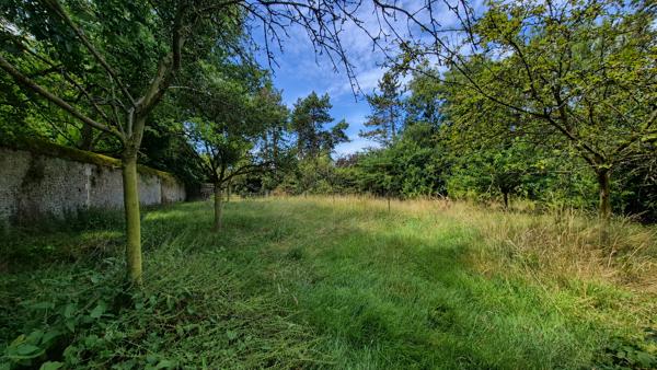 Caen Nord - Terrain constructible viabilisé hors lotissement de 1209m2