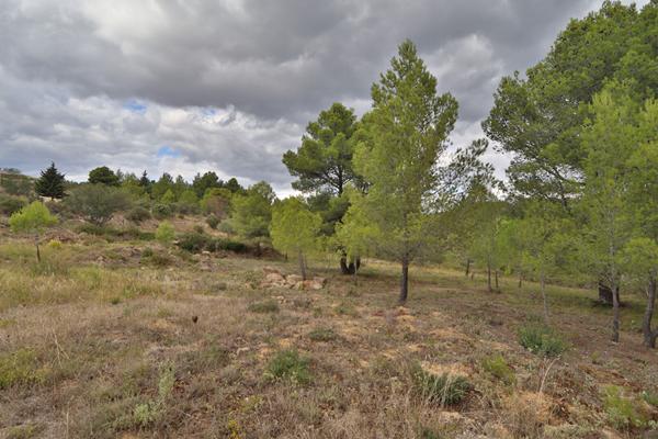 Maison Bize Minervois 4 pièce(s) 136.80 m2