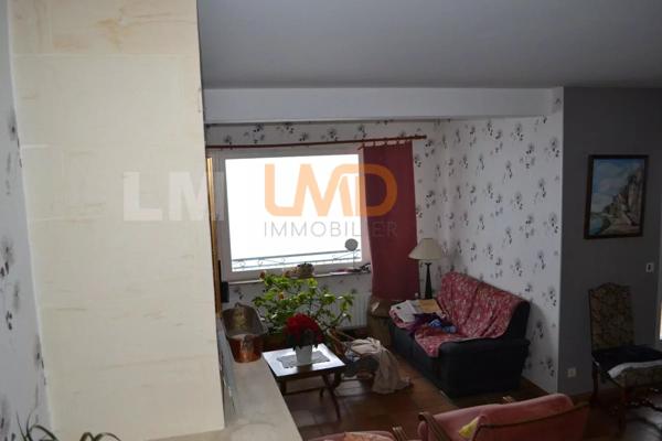 Centre Ville Appartement 136 M² Avec Dependances