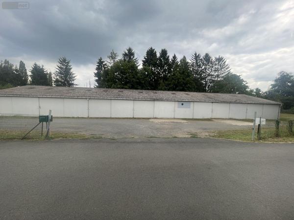 Garage - Parking à vendre à Mulsanne dans la Sarthe (72230), ref : 13816/1152