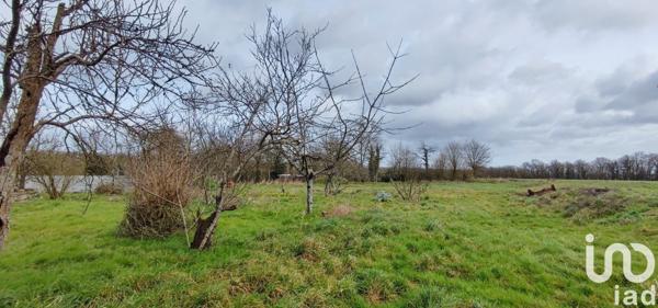 Maison à vendre 6 pièces 134 m² Saint-Fulgent