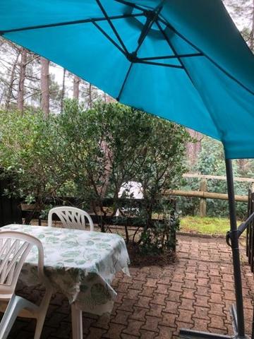 Appartement à vendre |  Lacanau |  2 pièces | 31 m²