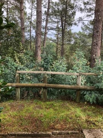 Appartement à vendre |  Lacanau |  2 pièces | 31 m²