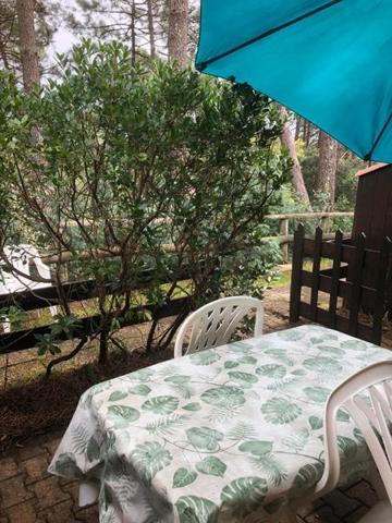 Appartement à vendre |  Lacanau |  2 pièces | 31 m²