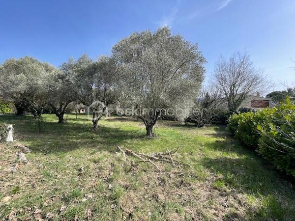 Terrain de 863 m²