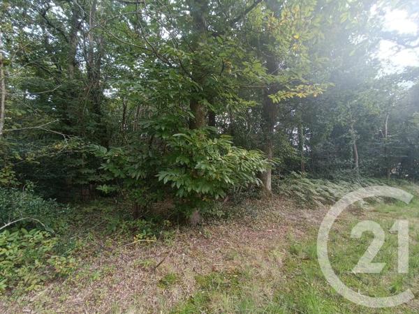 Terrain à vendre  3069 m2 GRAYAN ET L HOPITAL - 33