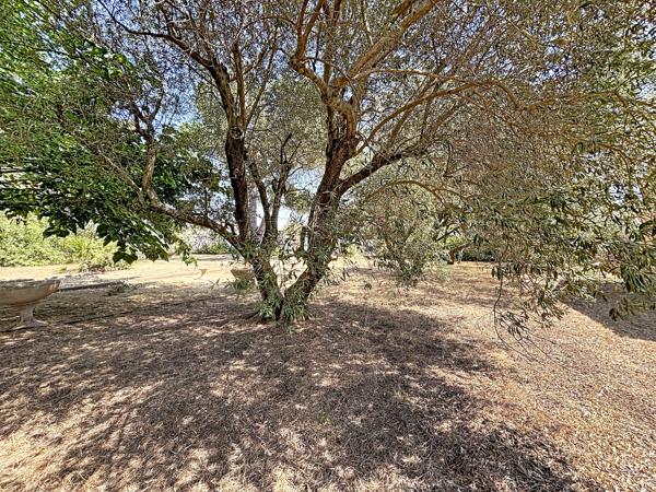Terrain constructible de 389 m²