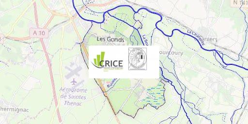 VENTE MURS COMMERCIAUX VIDES