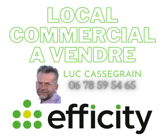 Local Commercial 1 pièce - 25 m²
