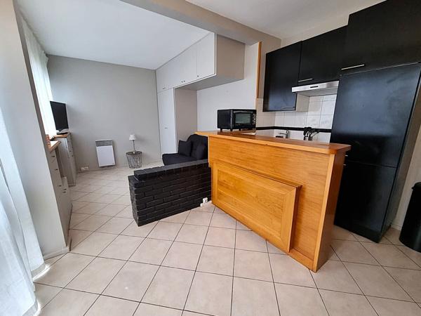 Grand studio avec vaste terrasse
